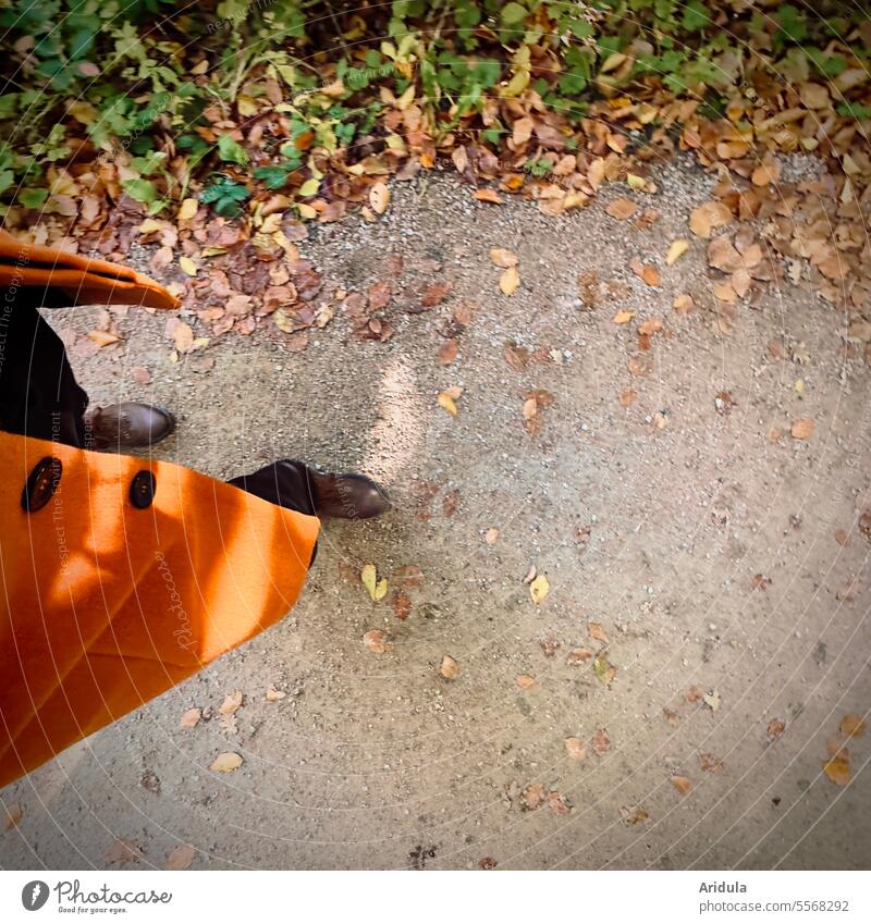 Herbstspaziergang No. 2 Frau Bewegung Beine Fußgänger Blätter rost braun orange Mantel laufen Mensch Wege & Pfade Vogelperspektive gehen Spaziergang Schuhe