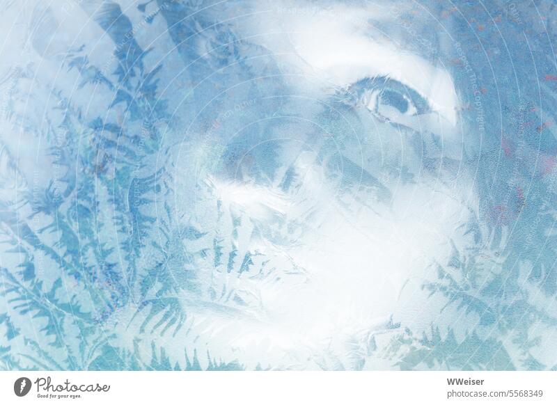 Eine winterliche Schönheit blickt unverwandt durch die Scheibe, die mit Frostblumen überzogen ist Gesicht Glas transparent Schneekönigin märchenhaft Eis Winter