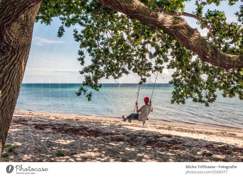 Schaukeln am Strand schaukeln Frau Ostsee Ostseestrand Dänemark Langeland Meer Küste Baum Äste Zweige Blätter Laub Urlaub Erholung reisen Tourismus Touristen