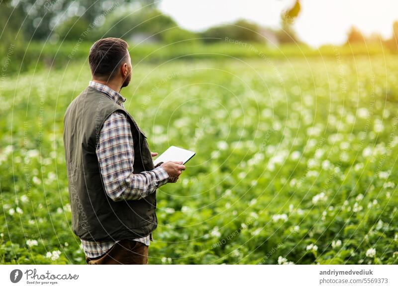 Ein Landwirt oder Agronom nutzt ein digitales Tablet, um das Wachstum und die Krankheiten der blühenden Pflanzen auf dem Kartoffelfeld zu analysieren und zu überprüfen. Smart-Farming-Technologie und Landwirtschaft Geschäftskonzept.