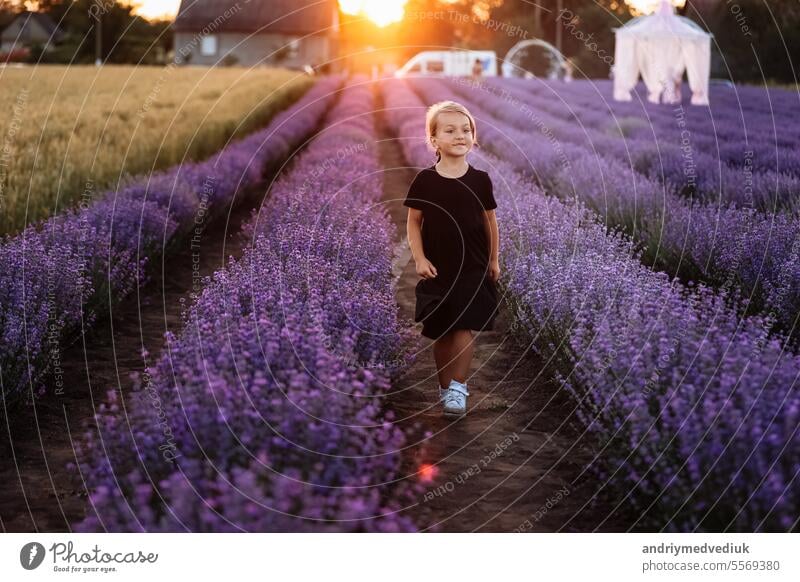Internationaler Tag der Kinder. Adorable lächelnd kleines Kind Mädchen im schwarzen Kleid ist in der großen Lavendelfeld auf Sonnenuntergang im Sommerurlaub zu Fuß. Kind verbringt Zeit mit ihrer Familie in der Natur