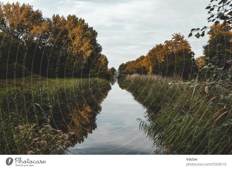 Wasserkanal, der die Wildnis in der Nähe der Stadt Almere durchquert. Ein Naturjuwel in den Niederlanden. Entspannen im Wald Hafengebiet Kanal keine Menschen