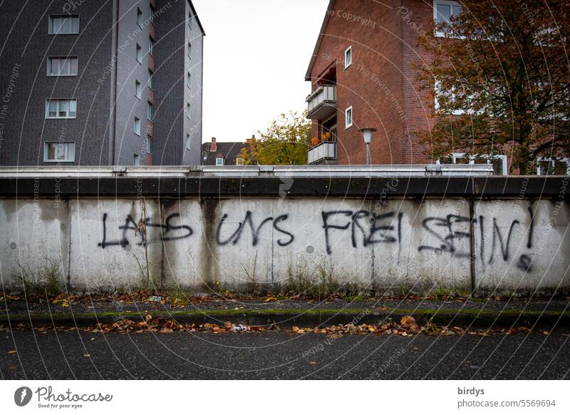 Lass uns frei sein. Text auf einer Mauer ,  Graffiti Freiheitswunsch freiheit Sehnsucht Unfreiheit Begrenzung freiheitsliebe Schrift Wunsch Wohnblock Häuser
