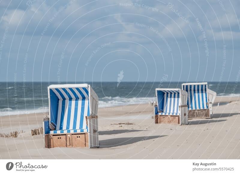 Strandkörbe warten auf Gäste Ferien & Urlaub & Reisen Erholung Strandkorb Sommer Tourismus Nordsee Küste Schönes Wetter Natur Sonne Meer Wasser Außenaufnahme
