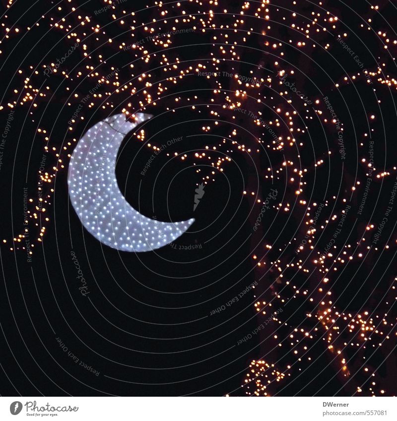 Der Mond ist... Lifestyle Erholung ruhig Garten Feste & Feiern Weihnachten & Advent Kunstwerk Nachthimmel Stern Vollmond Winter Baum Park