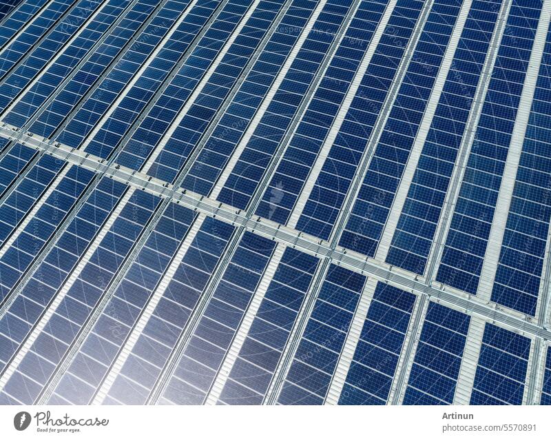 Luftaufnahme von Sonnenkollektoren oder Photovoltaikanlagen auf einem Fabrikdach. Sonnenenergie für grüne Energie. Nachhaltige erneuerbare Energie. Solarzellenplatten erzeugen Strom aus Sonnenlicht. Fotovoltaik oder PV.