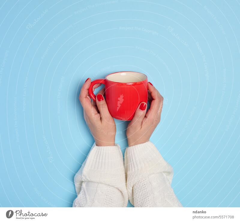 Zwei weibliche Hände halten eine rote Keramiktasse auf blauem Hintergrund Becher Tasse Hand trinken Kaffee Arme Tee Frau Getränk Beteiligung Menschen Halt