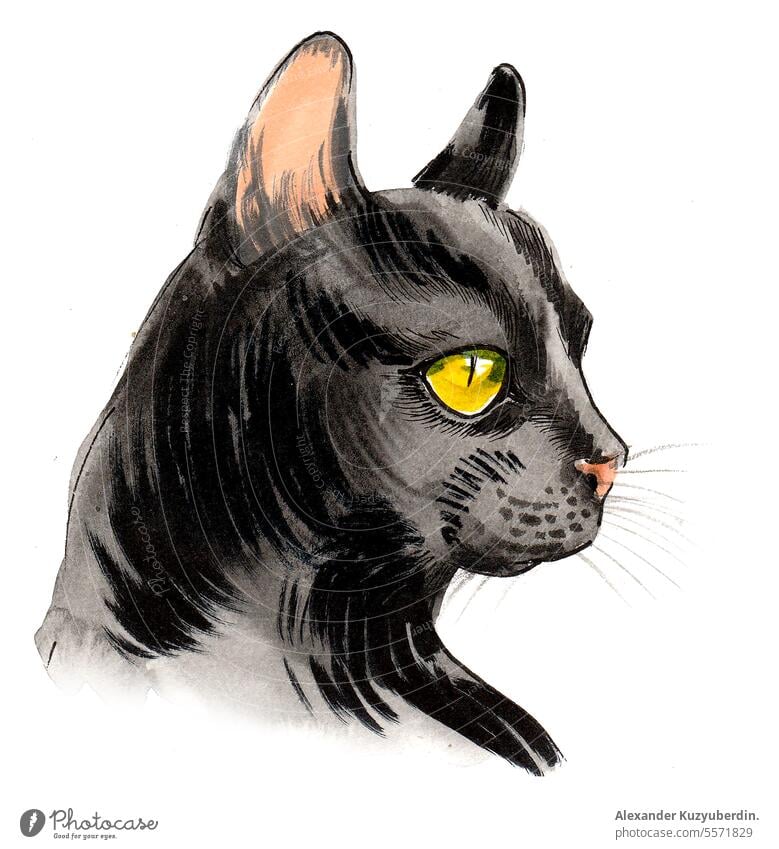 Schwarze Katze mit grünen Augen. Tinte und Aquarell Illustration Tier Kunst Hintergrund schön schwarz Karikatur farbenfroh niedlich dunkel heimisch Zeichnung