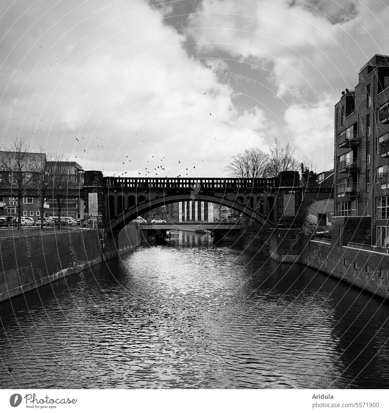 Kanal mit Brücke in s/w Wasser Osterbekkanal Hamburg Barmbek U-Bahn Häuser U-Bahnbrücke Stadt Architektur Gebäude Vögel Himmel Wolken Bauwerk Haus Herbst Winter