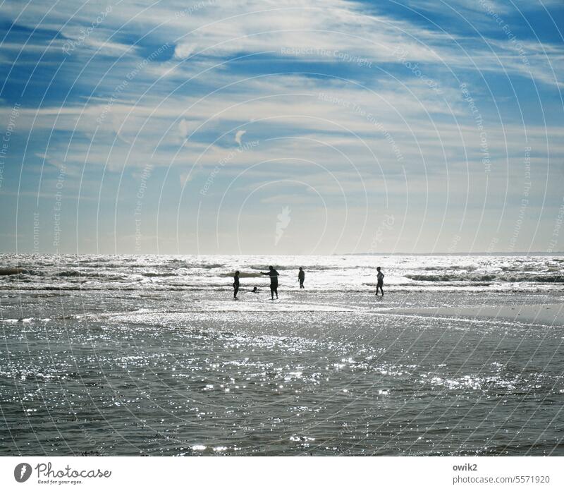 Überläufer Sonnenlicht Strand Außenaufnahme draußen Personen Menschen Kontrast stehen Reflexion & Spiegelung Silhouette Schönes Wetter Meer Panorama (Aussicht)
