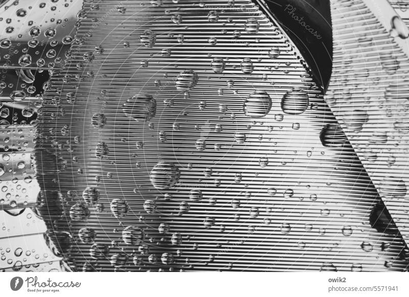 Perlen auf der Haut Detailaufnahme Autoscheinwerfer Glas defekt Wassertropfen Linien Reflektoren Spiegel glänzend Metall Technik Ähnlichkeit Taille Bein