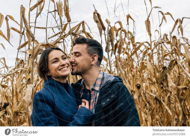 Momente der Zärtlichkeit eines glücklichen, verliebten Paares bei einem Herbstspaziergang inmitten eines Kornfelds außerhalb der Stadt Frau Glück Lächeln Mann