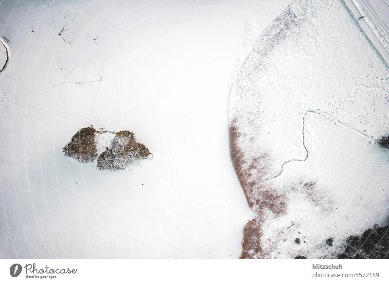 Luftaufnahme gefrorener See mit Schilf und Wasserzulauf Gefrorener See Eis Winter Winterzeit bergsee lenzerheide graubünden schweiz Landschaft Natur sehen