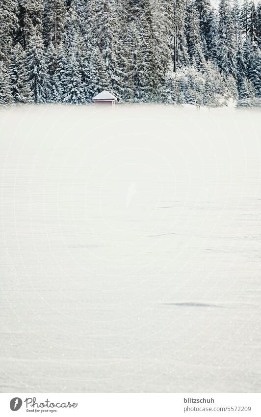 Kleines Häuschen eines Dammes im Nebel Morgen ruhig See Landschaft Wasser Natur Lenzerheide Nebelschwaden Winter Urlaub Ferien & Urlaub & Reisen Farbfoto