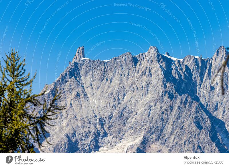 3 x 4000 Gebirge Mont Blanc Massiv Berge u. Gebirge Schnee Abenteuer Frankreich Eis Italien Gipfel Alpen Gletscher Bergsteigen Klettern Felsen Dent de Geant