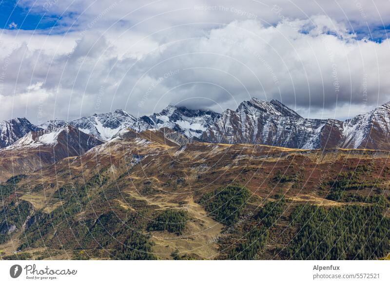 Herbst in den Alpen Berge u. Gebirge Schnee Schneebedeckte Gipfel herbstlich Herbstfärbung Landschaft Außenaufnahme Natur Menschenleer Panorama (Aussicht)