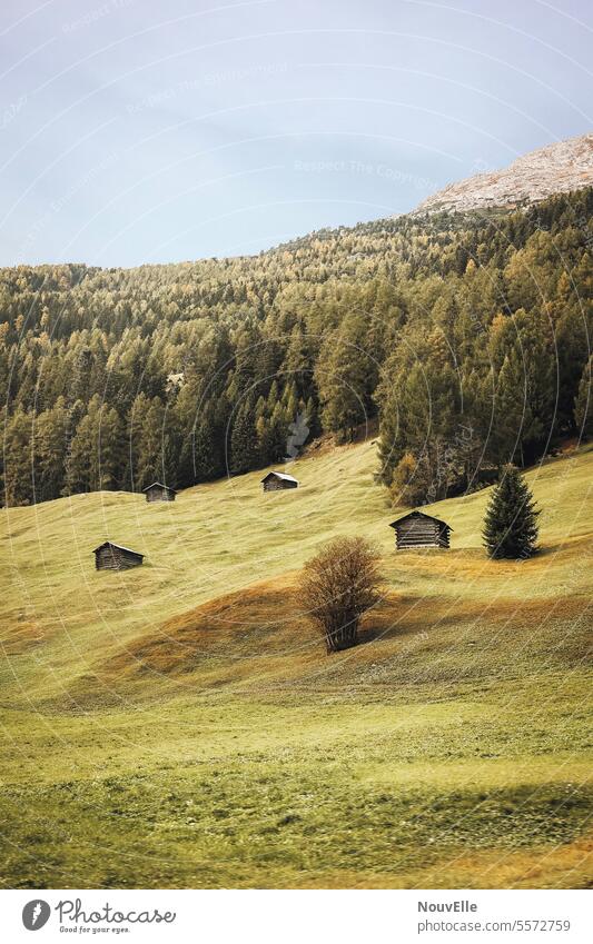 Südtiroler Landschaft Holzhaus Holzhütte Wiese wälder Berge u. Gebirge Natur Ferien & Urlaub & Reisen wandern grün Erholung Italien