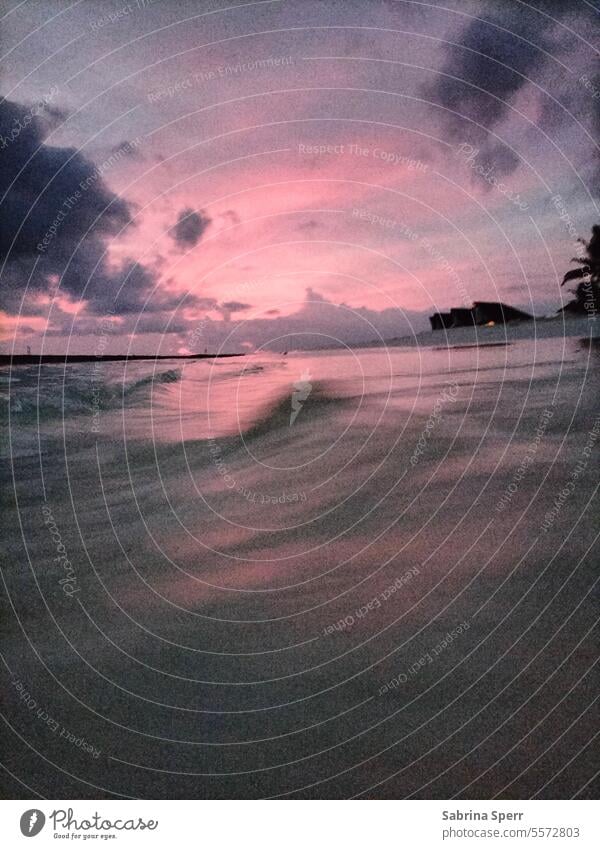 Weiche Wellenaufnahme mit Rosa Hintergrund 01 Verschwommen Pink Wolken Grau Kontrast Wasser Meer See Menschenleer Außenaufnahme Stimmung Himmel Schwarz