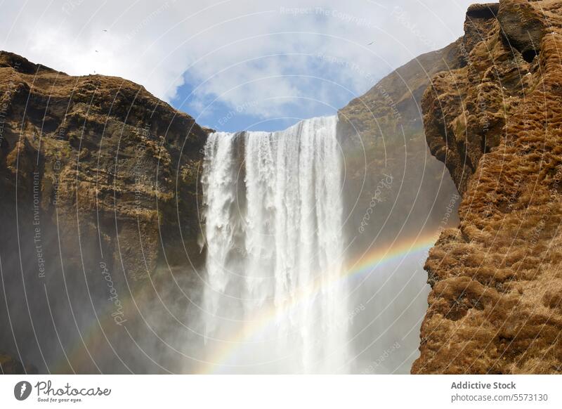 Regenbogen in der Nähe eines Wasserfalls in der Natur Klippe Berge u. Gebirge Kraft strömen platschen Energie Island Lichtbrechung rein malerisch Hochland