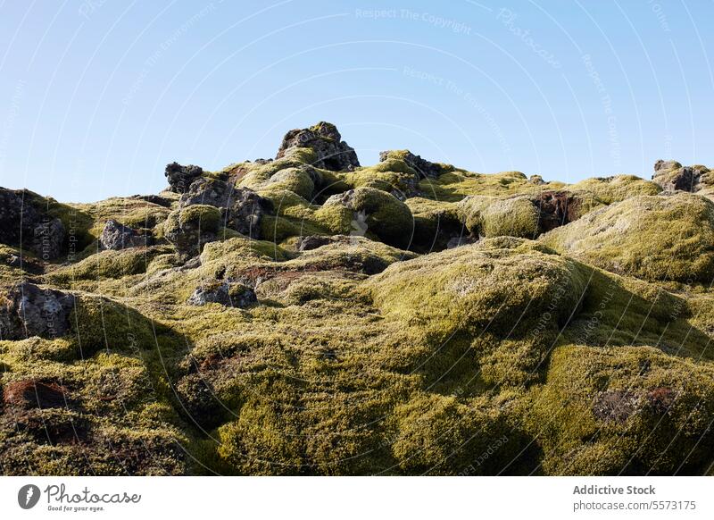 Mit Moos bewachsene Felsen auf einem Berg gegen den Himmel deckend grün Berge u. Gebirge Land Gras natürlich sonnig Umwelt Pflanze Landschaft texturiert