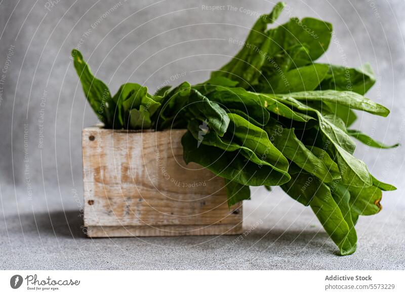 Spinat in Holzkiste Kasten hölzern rustikal frisch grün Blatt Gemüse Gesundheit produzieren organisch kulinarisch neutral Hintergrund Küche Diät Ernährung