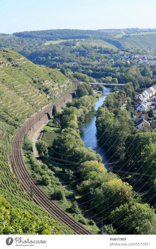 Blick auf die Bahnstrecke an der Enz bei Besigheim Weinberg Berg Eisenbahn Schiene Ort Ortschaft Perspektive Himmel Horizont Natur Landschaft Panorama