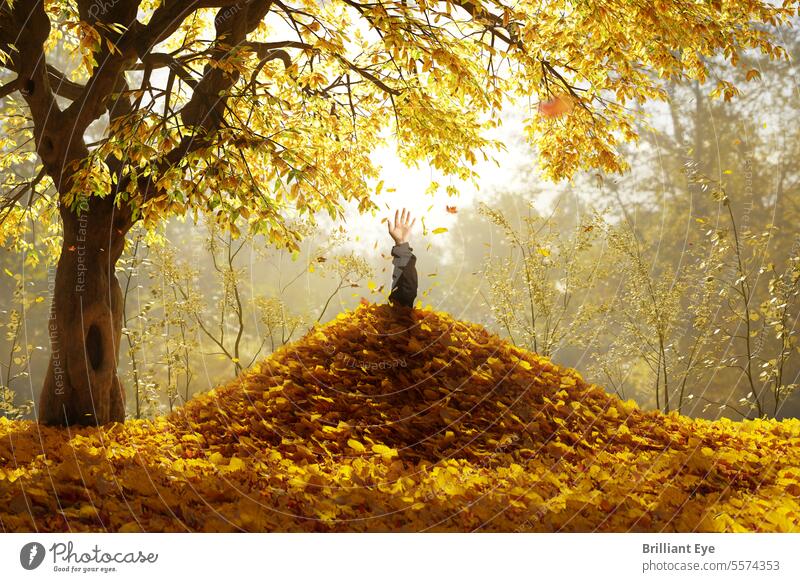 Männliche Hand kommt aus einem Laubhaufen heraus. Konzept Herbst Spaß Unfall allein Haufen Laubwerk gelb hell bedeckt Gefahr Graben weich Hilfsbereitschaft