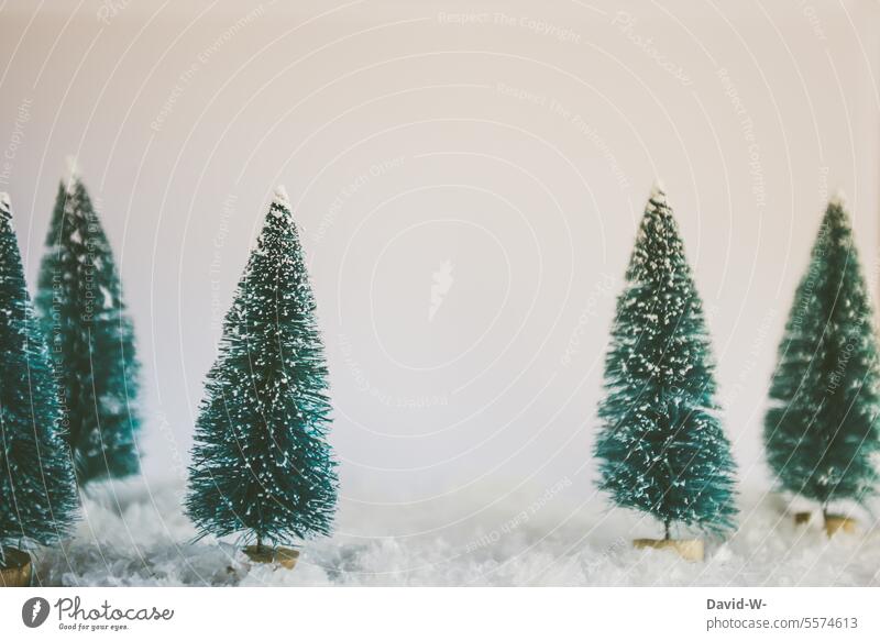 zwischen verschneiten Deko - Tannenbäumen und Textfreiraum Weihnachten Winter Schnee Weihnachtsdekoration Platzhalter Dekoration & Verzierung weihnachtlich