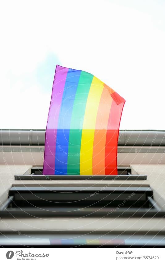 Flagge / Fahne in Regenbogenfarben Regenbogenfahne regenbogenfarben wehen Symbole & Metaphern Vielfalt gleichgeschlechtlich lesbisch Homosexualität Freiheit