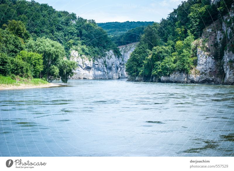 Donau -durchbruch.Die Donau fließt durch eine Enge. Rechts und links hohe Felsen mit Baumbewuchs. Umwelt Landschaft Wasser Wolken Sommer Schönes Wetter Wald