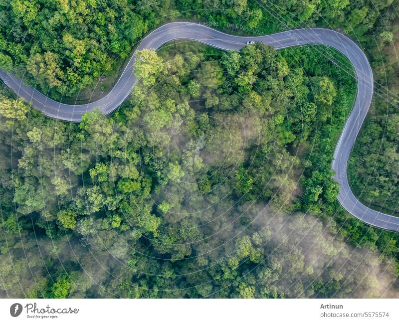 Luftaufnahme von oben von grünem Wald und Autobahnstraße. Drone Blick auf grüne Bäume und Morgennebel. Grüne Bäume Hintergrund für Kohlenstoffneutralität und Netto-Null-Emissionen Konzept. Nachhaltige grüne Umwelt.