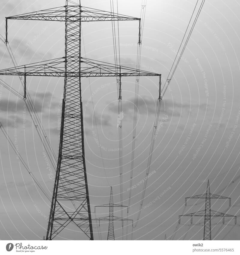 Trasse Stromtransport Hochspannungsleitung Strommast Technik & Technologie Zukunft Kabel stehen Zeichen Verlässlichkeit standhaft Energiewirtschaft Elektrizität