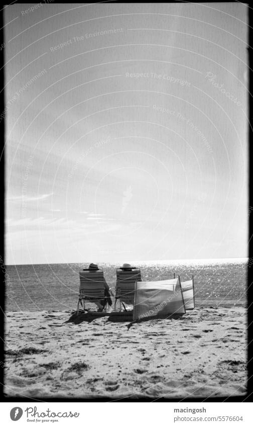Sonnenanbeter auf Cape Cod, Ostküste USA Amerika Tourismus schwarzweiß Schwarzweißfoto Vintage-Stil Vintage Kamera Mittelformat 6x9 analoge Fotografie