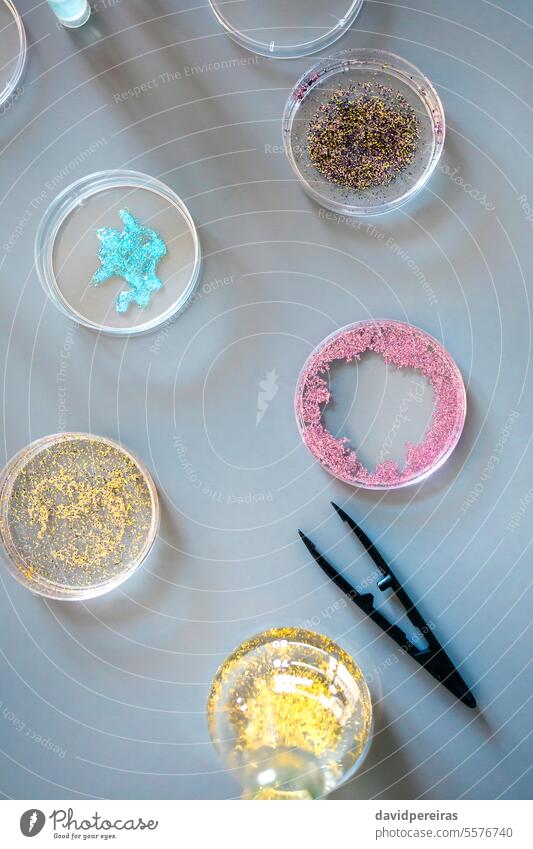 Draufsicht auf verschiedene Glitzerproben in Petrischalen vor einem Labortisch-Hintergrund Mikro Kunststoff Glitter Probe petri Speise lernen Mikroplastik