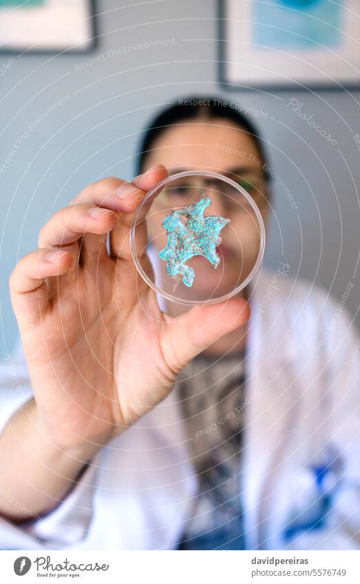 Porträt einer Chemikerin, die eine blaue Glitzerprobe über einer Petrischale im Labor zeigt Frau Techniker zeigend Blick Glitter Probe Mikro Kunststoff