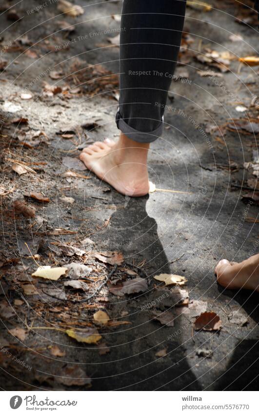 Barfuß laufen in der Natur barfuß laufen Fußgänger Waldweg Laub Füße gehen wandern Waldboden Sinnespfad Barfußpfad gesund herbstlich