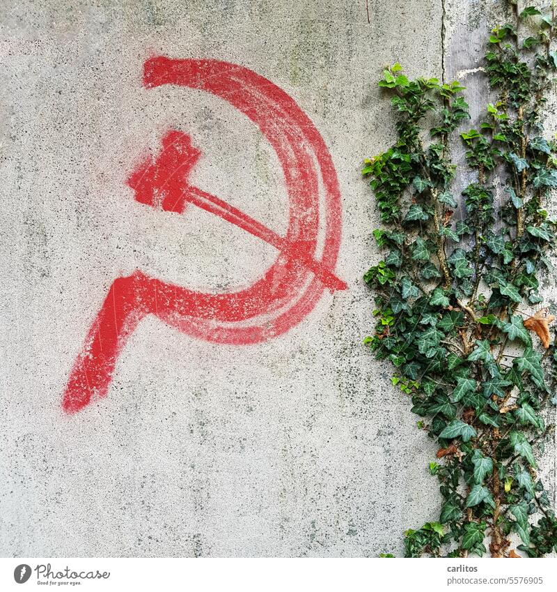 Hammer und Sichel | Graffiti darf alles Bolschewismus Arbeiterklasse Bauernklasse Diktatur des Proletariats Graffito Rot Mauer Efeu Meinungsfreiheit