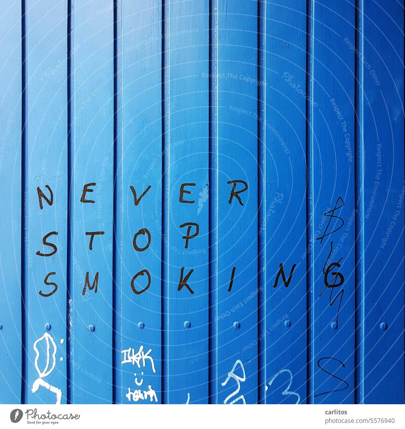 NEVER STOP SMOKING |  auch 'ne Meinung ..... Raucher rauchen Gesundheit Krankheit Graffito Schmiererei Wandverkleidung Holzverkleidung Blau Senrecht Parallel