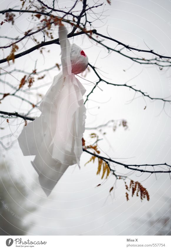 Buhuuu Dekoration & Verzierung Halloween Herbst Winter Baum fliegen hängen gruselig weiß Angst Geister u. Gespenster Spuk spukhaft Gespensterwald Ast Zweig