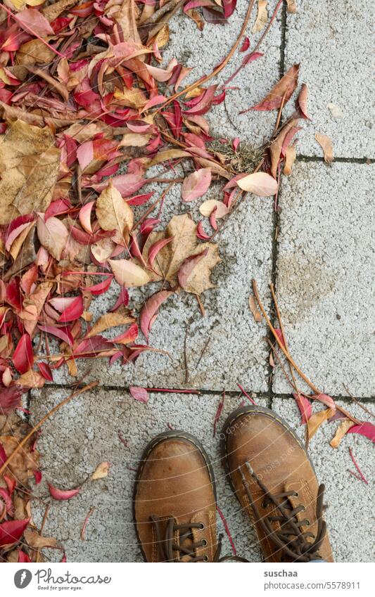 herbstlich Herbst Laub Blätter Herbstlaub Herbstfärbung Jahreszeiten Herbststimmung Herbstfarben Laubwerk Vergänglichkeit Herbstsaison Umwelt Füße Schuhe stehen