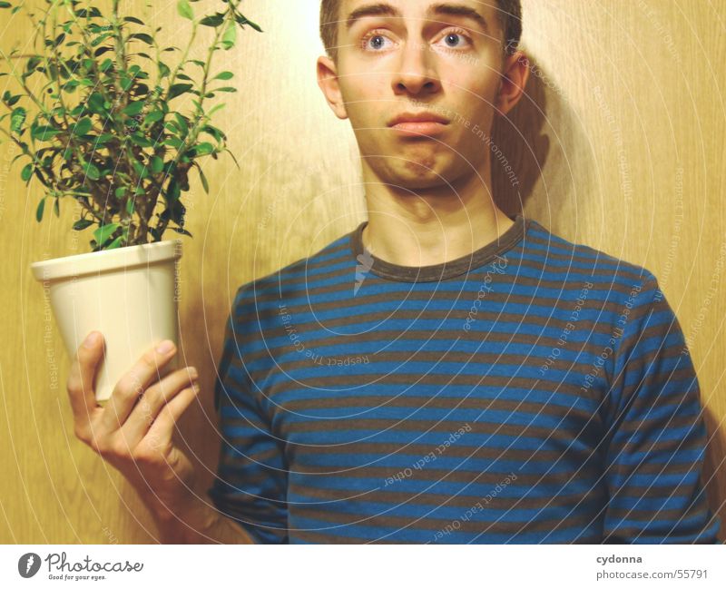 Menschenskind VIII Mann Porträt Stil Wand Holz Hand Körperhaltung Pullover Unsinn Tarnung Pflanze Grünpflanze Blumentopf Licht Maserung Gesicht Gesichtsausdruck