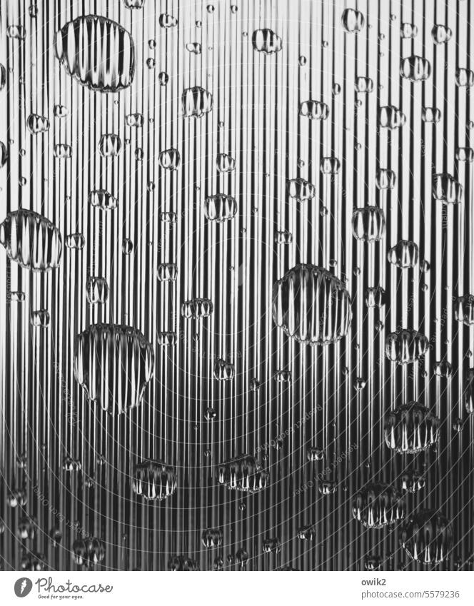Adhäsion Wasser Wassertropfen nass benetzt Regen Tröpfchenbildung Regentropfen Flüssigkeit Benetzung Wasserperlen Oberfläche Adhäsionskräfte Physik abstrakt