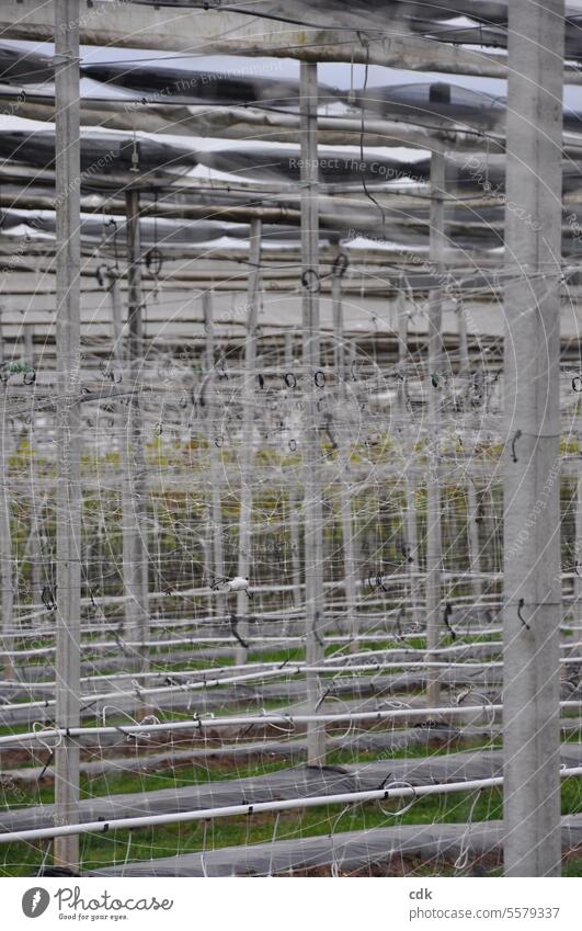 hilfreich | für Anbau & Ernte: landwirtschaftliche Konstruktion. Anlage Landwirtschaft genutzt Stangen Schienen Pfeiler Seile Netze Aufhängung Bau Bauwerk