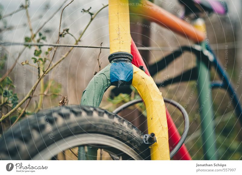 Portobello V Umwelt Natur Herbst Winter Pflanze Sträucher Verkehr Fahrradfahren ästhetisch Originalität retro schön mehrfarbig Farbe Kreativität Lebensfreude
