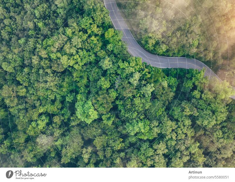 Luftaufnahme von oben von grünem Wald und Autobahnstraße. Drone Blick auf grüne Bäume und Morgennebel. Grüne Bäume Hintergrund für Kohlenstoffneutralität und Netto-Null-Emissionen Konzept. Nachhaltige grüne Umwelt.