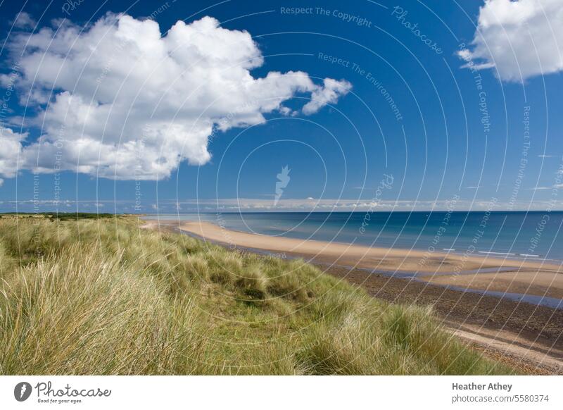 Flauschige weiße Wolke am blauen Himmel über Sanddünen in der Druridge Bay in Northumberland, UK Cloud Sommer Strand Dunes Bucht MEER Küste Küstenstreifen