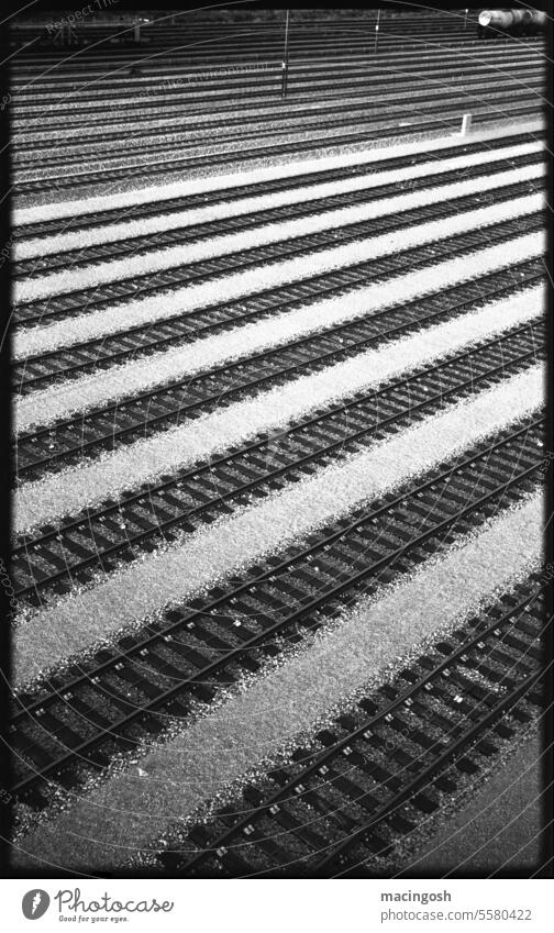 Bahngleise an einem Rangierbahnhof alt Einsamkeit Schwarzweißfoto schäbig Traurigkeit Vergänglichkeit analog analoge fotografie Bayern schwarzweiß