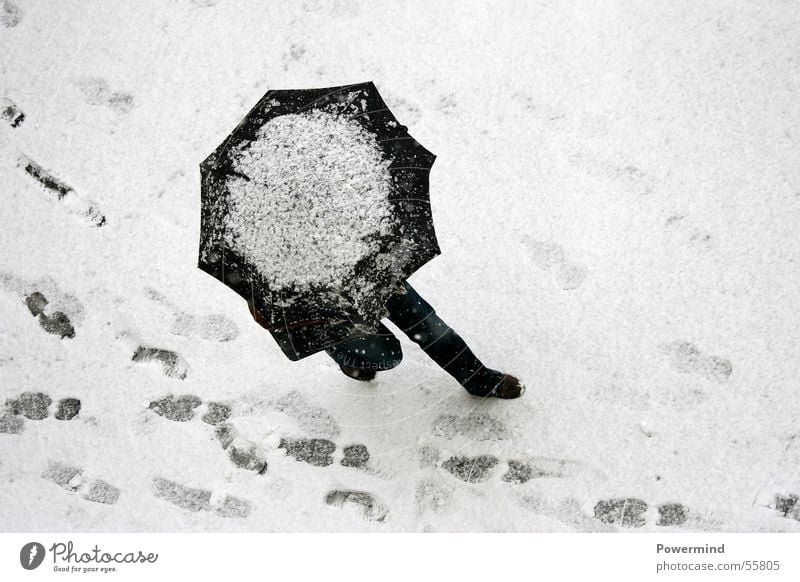 SnowWalk Frau Winter Spaziergang gehen schwarz weiß schreiten Fußspur gegen Elektrizität Richtung kalt Schneeflocke laufen walk heimweg Eis Spuren tapsen