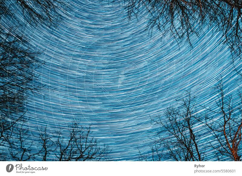 Erstaunlich Ungewöhnliche Sterne Effekte im Himmel. Abstrakte Sterne Linien bewegen sich in Sky.spin Trails of Stars Above Baumkronen ohne Laub. Night Rotate Sky Star Hintergrund. Helles Blau