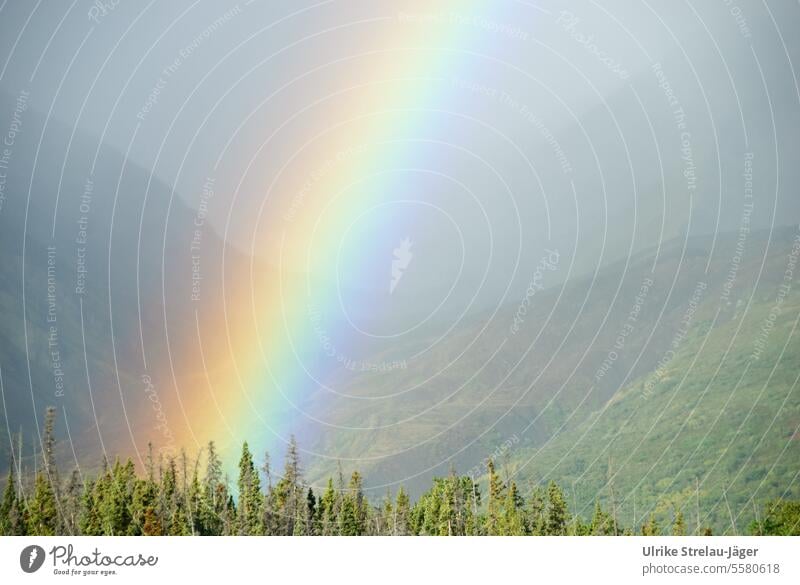Alaska | Tal in den Bergen mit dem Ende des Regenbogens Lichterscheinung intensiv nah rot gelb Regen und Sonnenschein mehrfarbig Sonnenlicht einsame Landschaft